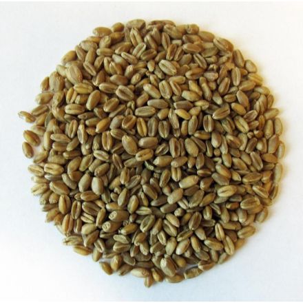 Nettbilde_1215-Hvete-helkorn