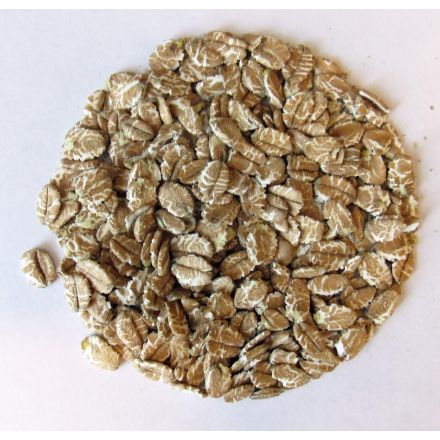 Nettbilde_1229-Speltflak