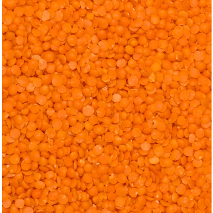 Nettbilde_9713-Rode-linser-halve-25-kg-okologisk