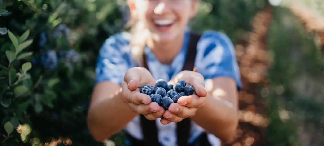 Illustrasjon av økologisk livsstil